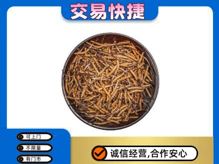 济南天桥区回收散虫草